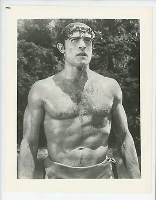 Tarzan And The Great River 1967 Vintage Photo Still Mike Henry Bare Chested • $14.95