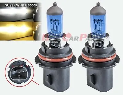 9004 HB1 Xenon HID Headlight High/Low Beam Halogen Bulbs 5000K • $8.99