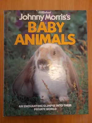 BABY ANIMALS [Hardcover] JOHNNY MORRIS'S St Michael Marks And Spencer • £9.99