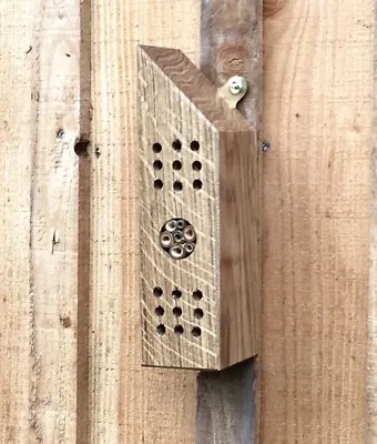 Bee House Bee Hotel Insect Home Handmade From Reclaimed Oak Bug House • £10