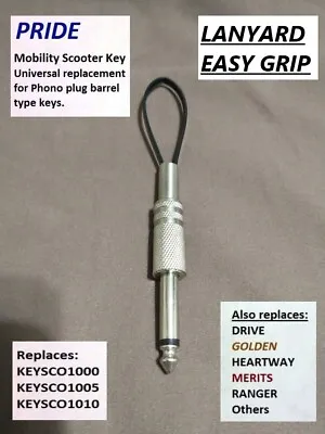 Mobility Scooter Plunge Key - Lanyard - Easy Grip - Merits Pride GoGo Etc. • $12.99