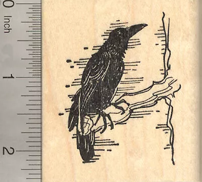 Raven Rubber Stamp Blackbird Crow Bird J22608 WM • $19