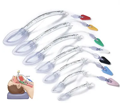 1/6Pcs Disposable  Airway Medical Consumables Laryngeal Masks PVC Throat Cover  • $14.43