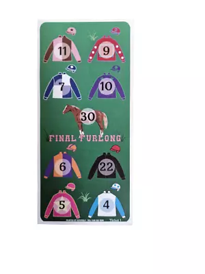 Final Furlong  Fun Bingo Flyers 100 Sheets Bingo Tickets  Horse Racing Themed • £6.99