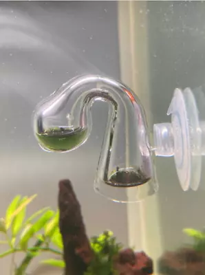 $10.65 • Buy CO2 Drop Checker Glass Fish Diffuse Monitor Tank PH Long Term Indicator Tester