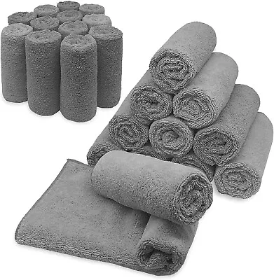 Microfiber Cleaning Cloth Set Of 24 Towel Rag Car Polishing Detailing No-Scratch • $21.87