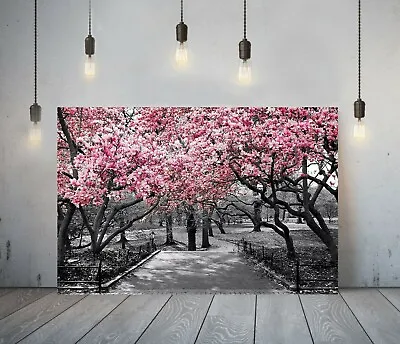 Floral Blossom 6 -deep Framed Canvas Wall Art Picture Paper Print- Pink Black • £19.99