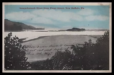 Tinted SUSQUEHANNA RIVER From FRONT STREET NEW BUFFALO AUBURN PC CO Pm 1920 WB • $11.99