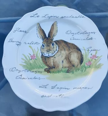 Maxcera BUNNY Rabbit 10  Dinner Plate EXC French Le Lapin • $14.99