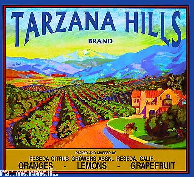 Reseda Tarzana Hills California Vintage Orange Citrus Fruit Crate Label Print • $11.19