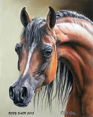  Arabian Mare  Horse Art Print 5  X 7  Giclee Equine Image By Roby Baer PSA • $14.95