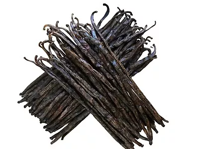 Half Pound Madagascar Grade B Extract Grade Bourbon Vanilla Beans [5-6 Inches] • $75.99