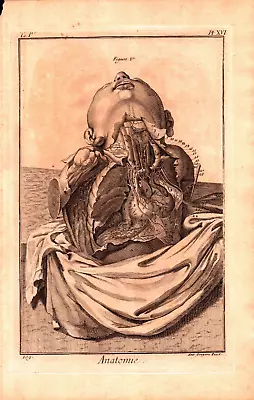  ANATOMIE  ARTERIES CHEST Antique Original Medical Engraving 1770 • $62