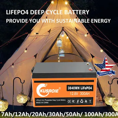 12V 300Ah Smart LiFePO4 Lithium Iron Battery Phosphate BMS For RV Off-Grid Lot • $22.98