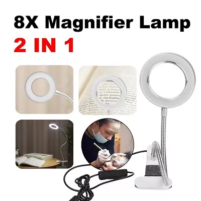 8X Magnifier Glass LED Desk Lamp With Light Stand Clamp Beauty Magnifying Lamp • £13.09