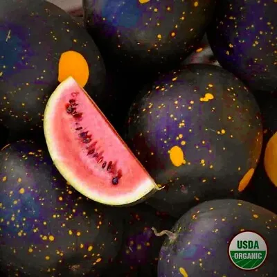 20 Moon And Stars Red Cherokee Watermelon￼ Seeds/NON-GMO FREE SHIPPING! • $3.76