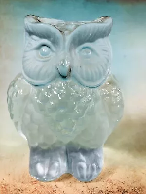 Viking Clear Art Glass Owl Sculpture Paperweight Mid Century Modern Bookend • $14.99