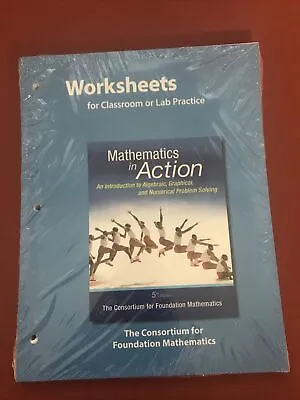 Homeschool: Mathematics In Action Worksheets Algebraic - Priority Shipping • $39