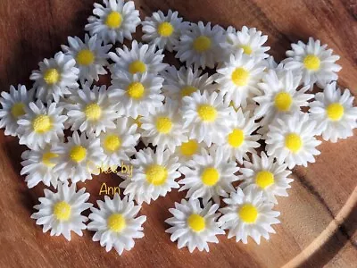Edible Sugar Flowers Daisy White Flowers Wedding Birthday Cake Cupcake Topper25 • $14