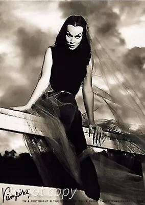 8X10 PUBLICITY PHOTO VAMPIRA Vintage Pin-Up Celebrities MAILA NURMI • $10.61