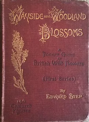 Wayside And Woodland Blossoms (1896) Edward Step • £25