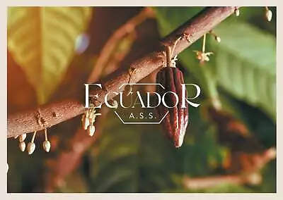 Ecuador A.S.S. Cacao Cocoa Beans • £15