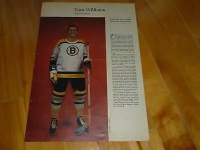 Tom Williams Boston Bruins 64 Poster Vintage Hochey Perspectives Soleil Nhl • $15.48