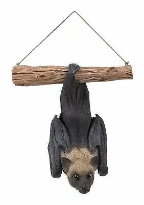 Vivid Arts Hanging Fruit Bat  Highly Detailed Home Or Garden Decoration • £28.99