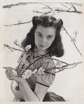 HOLLYWOOD BEAUTY VIVIEN LEIGH GONE WITH WIND STUNNING PORTRAIT 1950s Photo 536 • $149.99