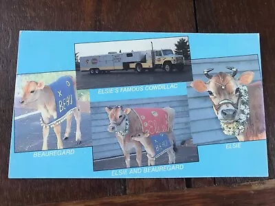 Elsie The Famous Borden Cow Cowdillac Foods Postcard • $2
