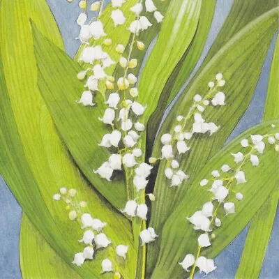 Lily Of The Valley SYMPATHY Card With Bible Text - Numbers 6:26 - EB8708 • £1.09