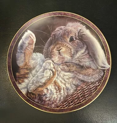 Bradford Exchange Bunny Tales Plate - FOOTLOOSE - Vivi Crandall • $10.80