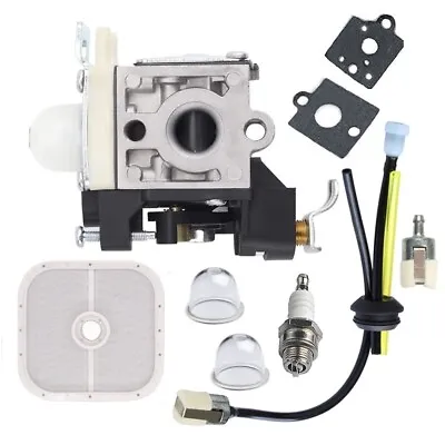 Carburetor For Echo PB-251 PB-265L PB-265LN PB-255 A021001590 Zama RB-K85 Blower • $15.08