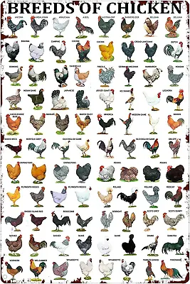 Breeds Of Chickens Poster Wall Art Home Decor Vintage Metal Tin Signs Coffee Sho • $12.93