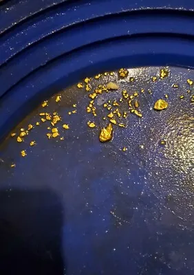 Gold Panning Paydirt Trommel Concentrates GUARANTEED GOLD + Unsearched Material  • $35.05