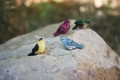 Mini Fairy Garden Birds In 3 6 Or 12 Pk For Birdhouse Bird Nest Or Terrarium • $48.10