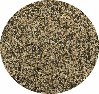Canary Seed Mixed Canary Food Feed 10kg 5kg 3kg 2kg 1.5kg 1kg 450g • £4.55