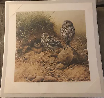 Burrowing Owl - Michael Dumas - 149/1000 Prints - Singed WITH Document - Sealed • $145.66