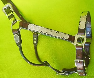 CIRCLE Y Gorgeous HAND MADE Loaded Silver Show HALTER~HORSE Size~BREED QUALITY • $195