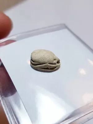 Ex CNG Ancient Egyptian Steatite Scarab Lower Egypt Middle Kingdoms 2050-1782 BC • $150