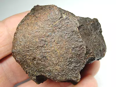 Meteorite - Oriented - Top Quality - Rare Orientation - SLS-1989 - 101.0g Superb • $50.95