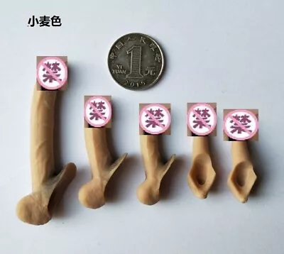 5pcs 1:6 Suntan Skin Genitals Penis Accessories For 12  Male PH TBL Figure Body • £9.36