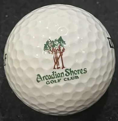 Arcadian Shores Golf Club Logo Golf Ball Myrtle Beach SC • $9.99