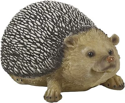 Large Cute Hedgehog Garden Animal Decoration Statue Lawn Ornament Outdoor • £9.95