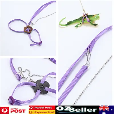 Adjustable Reptile Harness Lizard Bearded Dragon Leash Training Rope Purple AU • $9.19