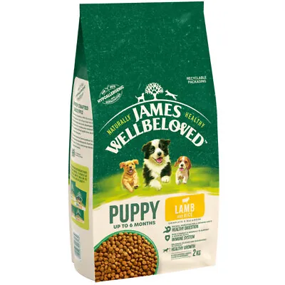 James Wellbeloved Puppy Lamb & Rice Dog Food Dry 2kg • £24.99