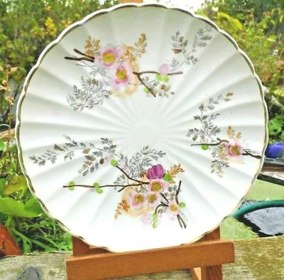 Botanical PLATE FRANZ MEHLEM BONN RHEIN Victorian  C1890       B6 • £10.99