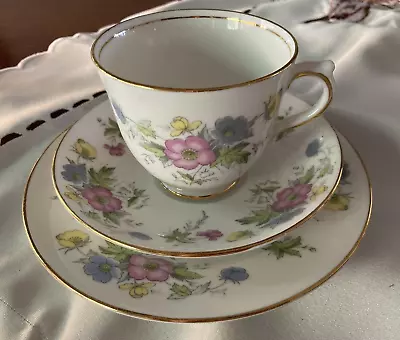 Vintage Salisbury Bone China Tea Cup Set Pattern # 1857 Made In England • $65