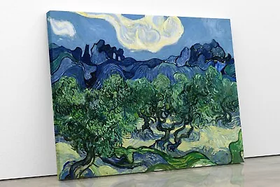 Vincent Van Gogh Olive Trees & Alps Canvas Wall Art Picture Painting Print • £16.99