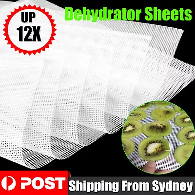 6/12X 14   Silicone Fruit Dryer Mesh Sheets Reusablefor For Food Dehydrator AUS • $16.27